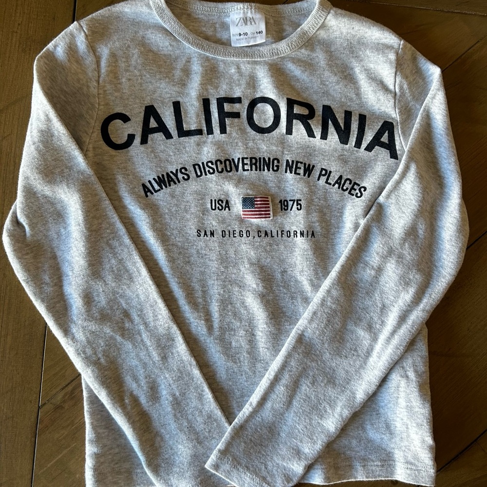 Zara Light Gray Graphic Tee